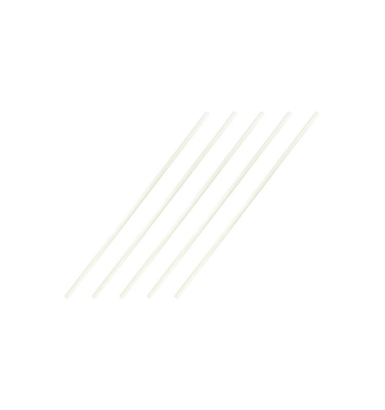 PACK 5 PUNTAS 2 mm FIBRA VIDRIO